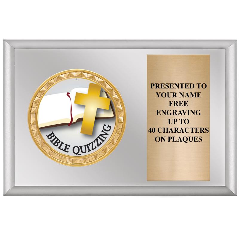 6" X 4" SILVER INSERT PLQ