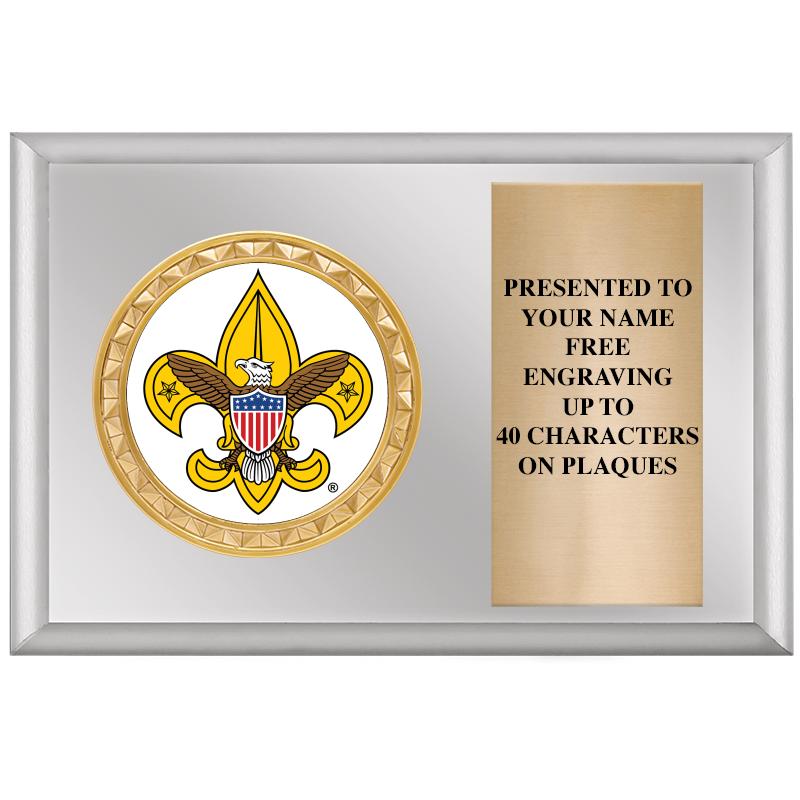 6" X 4" SILVER INSERT PLQ