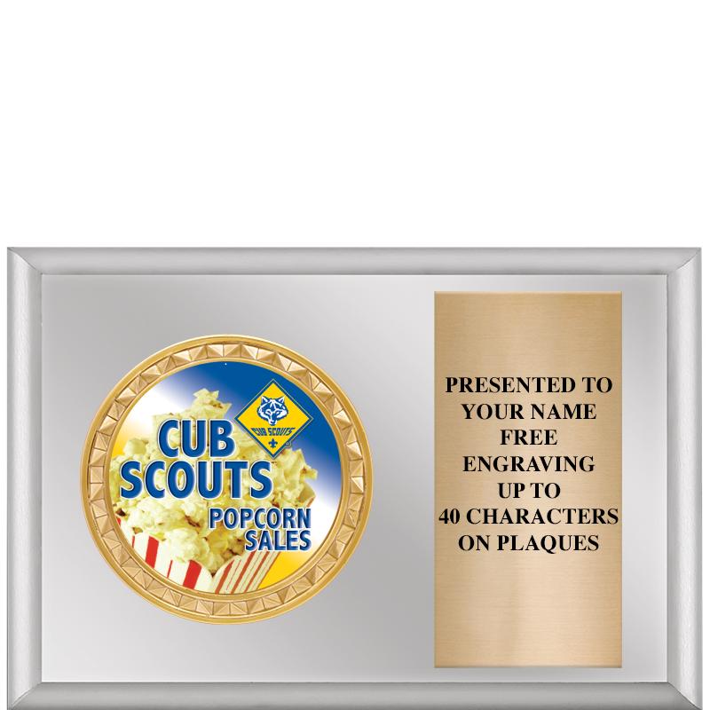 6" X 4" SILVER INSERT PLQ