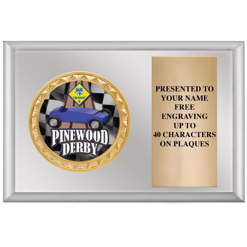 6" X 4" SILVER INSERT PLQ