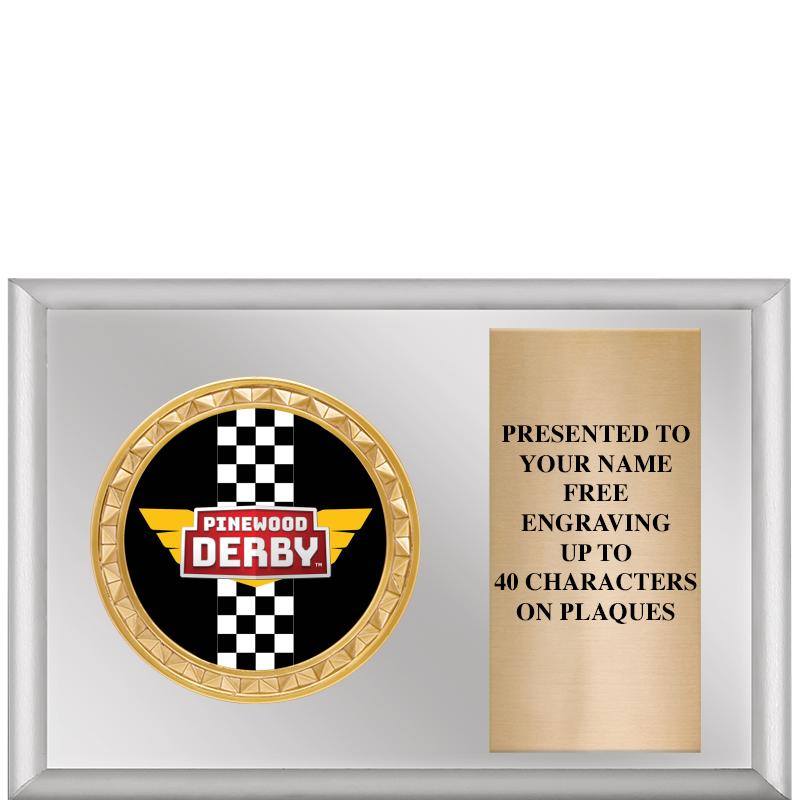 6" X 4" SILVER INSERT PLQ