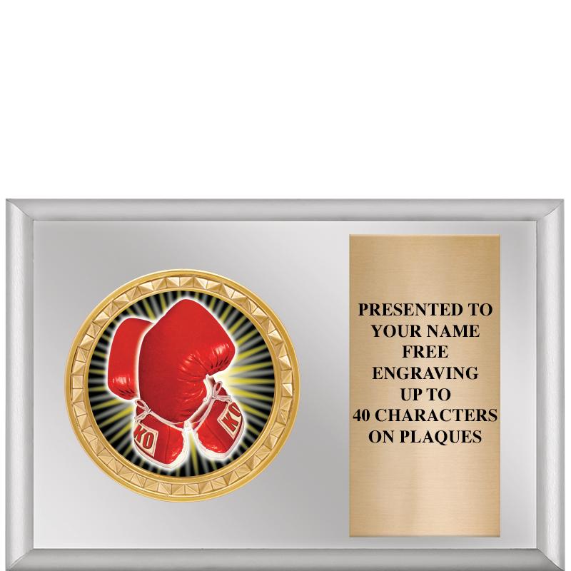 6" X 4" SILVER INSERT PLQ