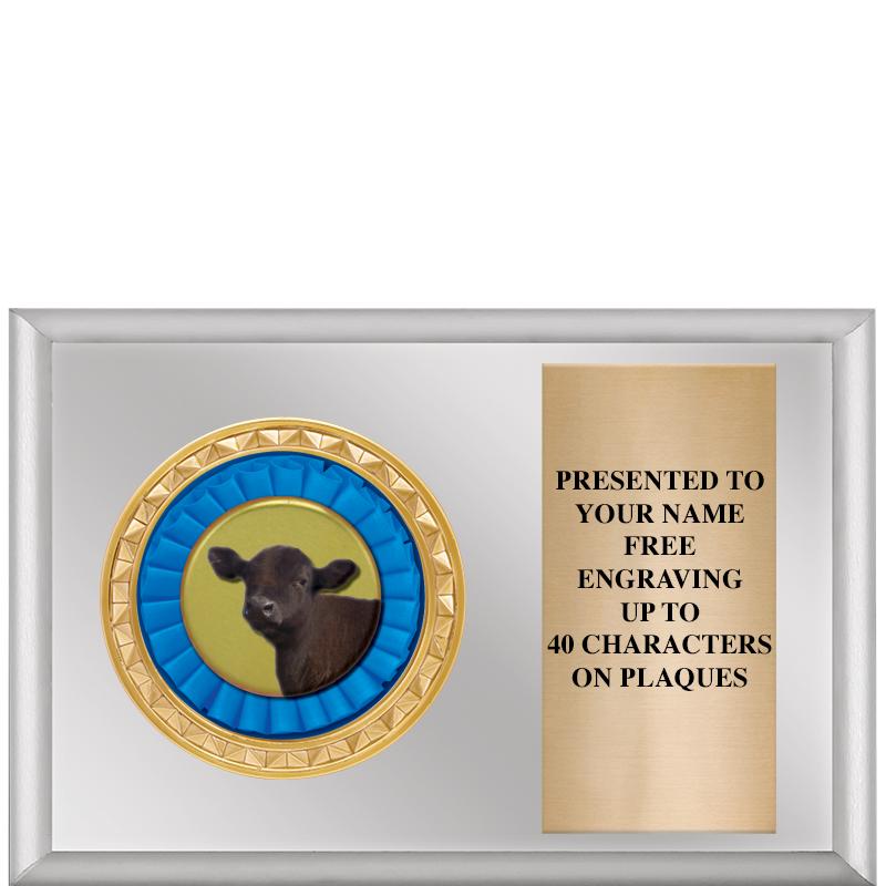 6" X 4" SILVER INSERT PLQ