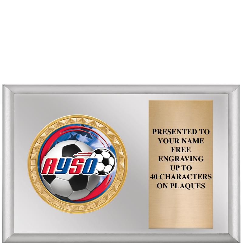 6" X 4" SILVER INSERT PLQ