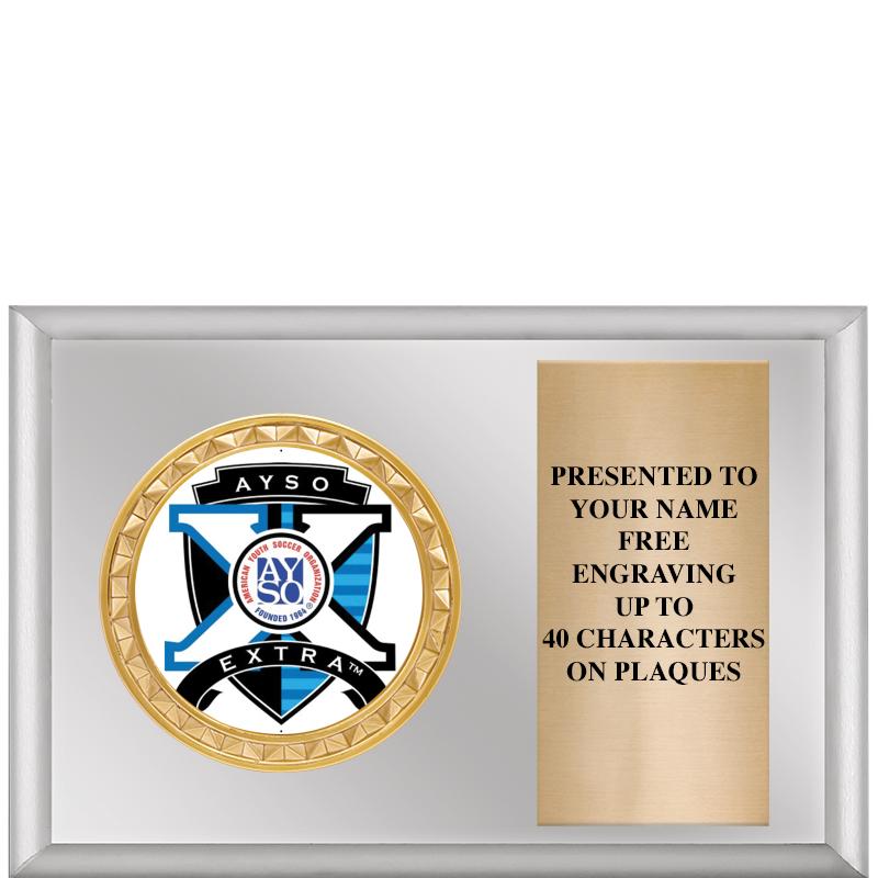 6" X 4" SILVER INSERT PLQ