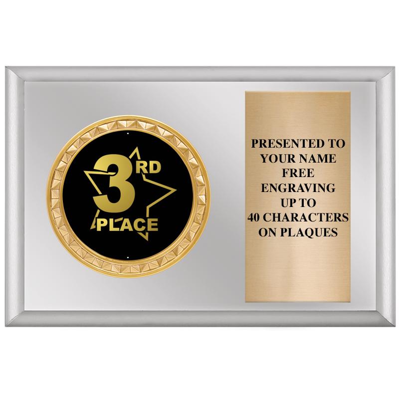 6" X 4" SILVER INSERT PLQ