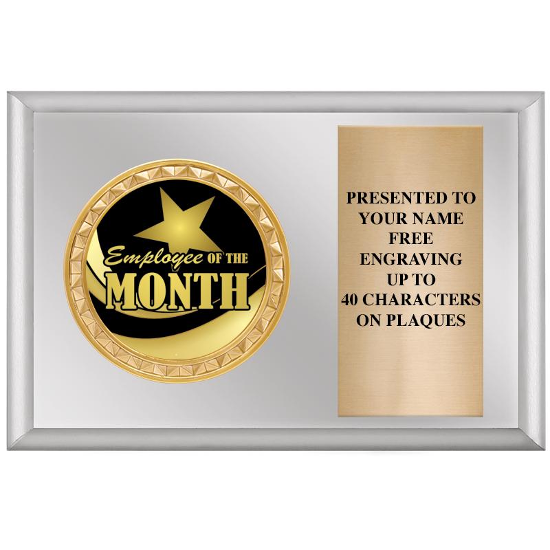 6" X 4" SILVER INSERT PLQ