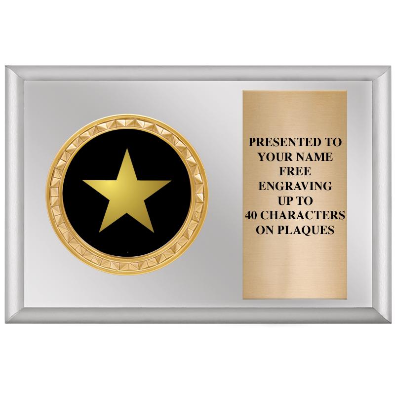 6" X 4" SILVER INSERT PLQ