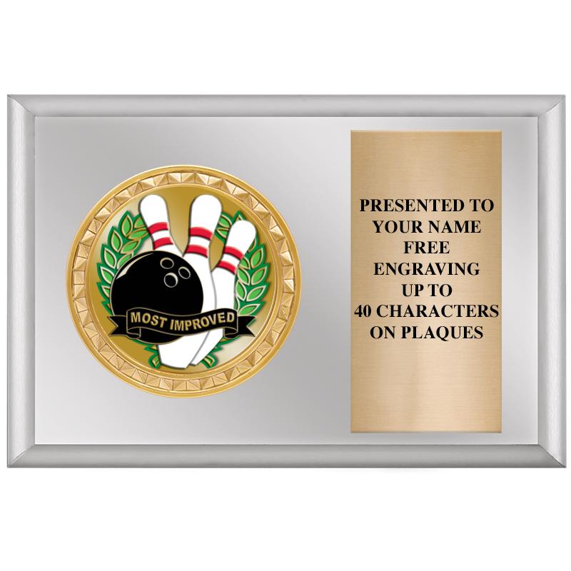 6" X 4" SILVER INSERT PLQ