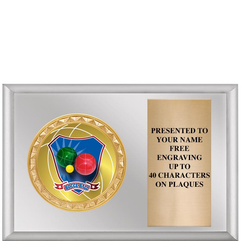 6" X 4" SILVER INSERT PLQ