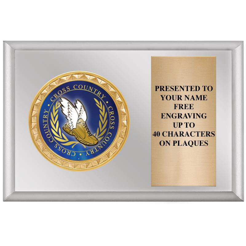 6" X 4" SILVER INSERT PLQ