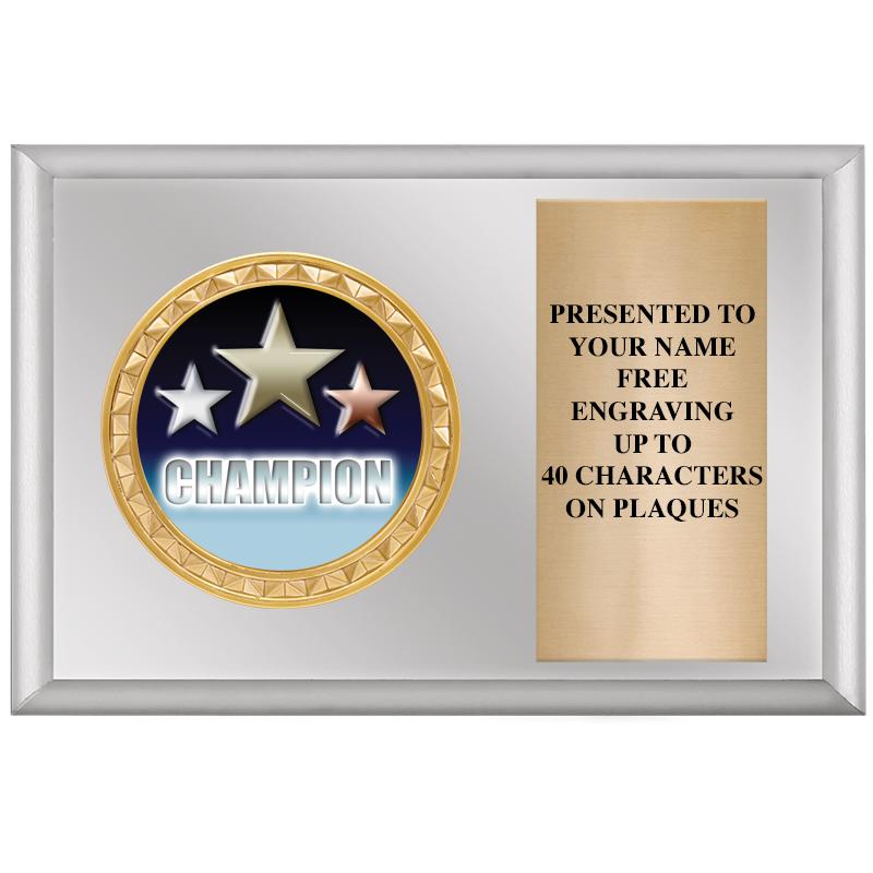 6" X 4" SILVER INSERT PLQ