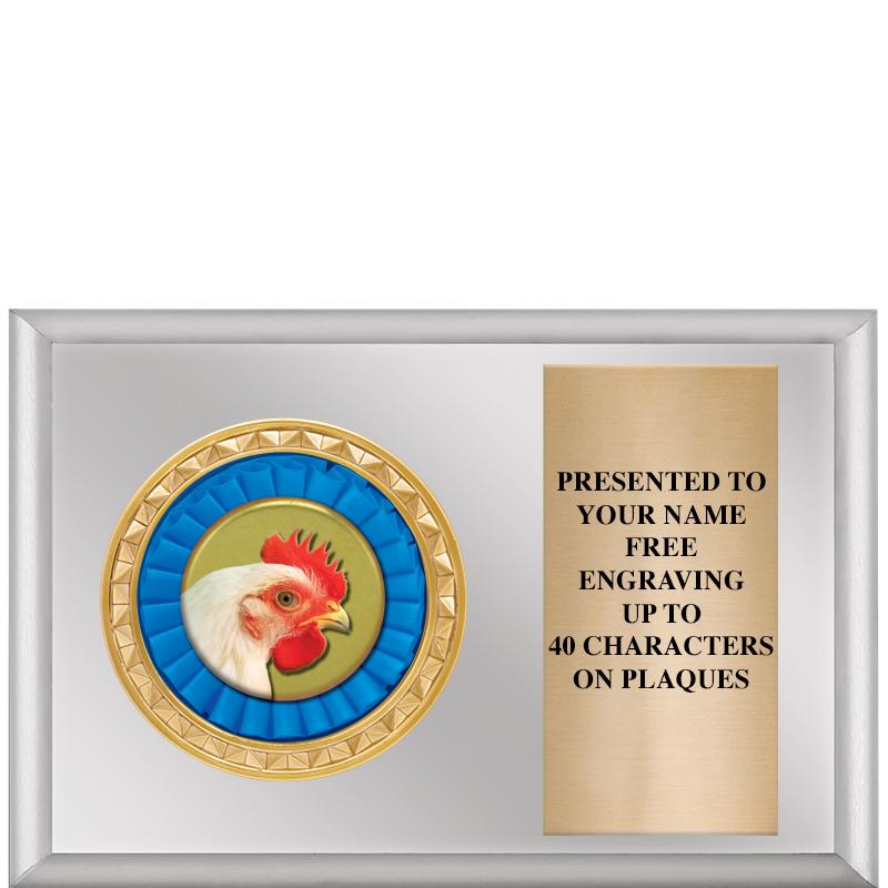 6" X 4" SILVER INSERT PLQ