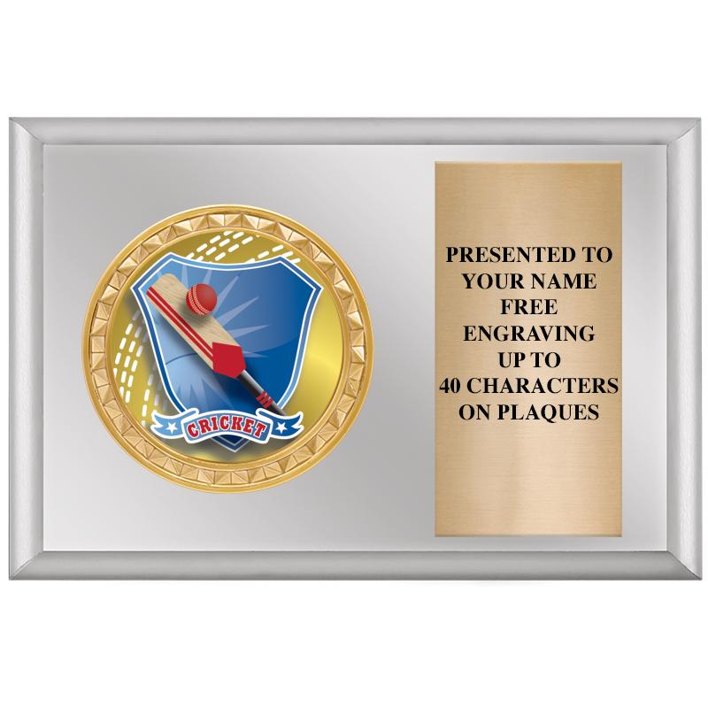 6" X 4" SILVER INSERT PLQ