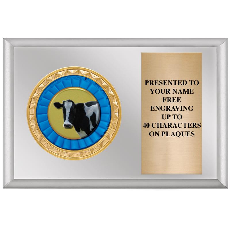 6" X 4" SILVER INSERT PLQ