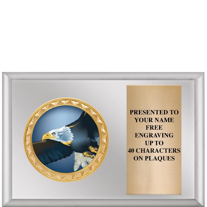 6" X 4" SILVER INSERT PLQ