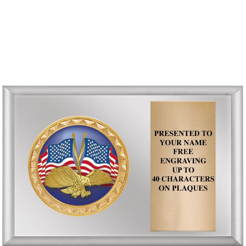 6" X 4" SILVER INSERT PLQ