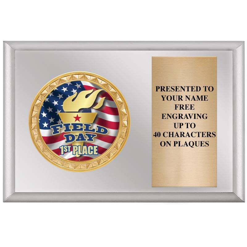 6" X 4" SILVER INSERT PLQ