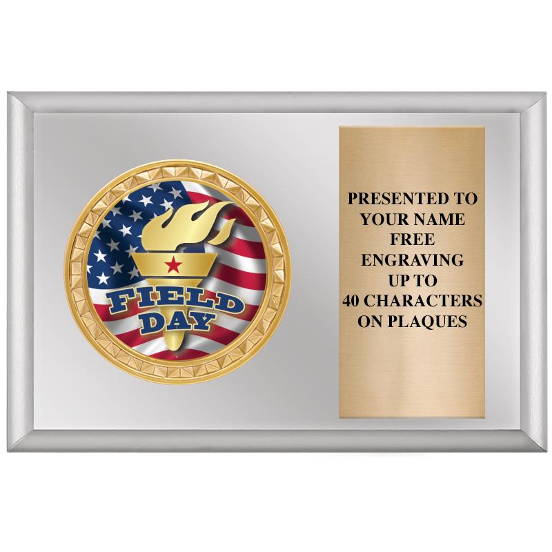 6" X 4" SILVER INSERT PLQ