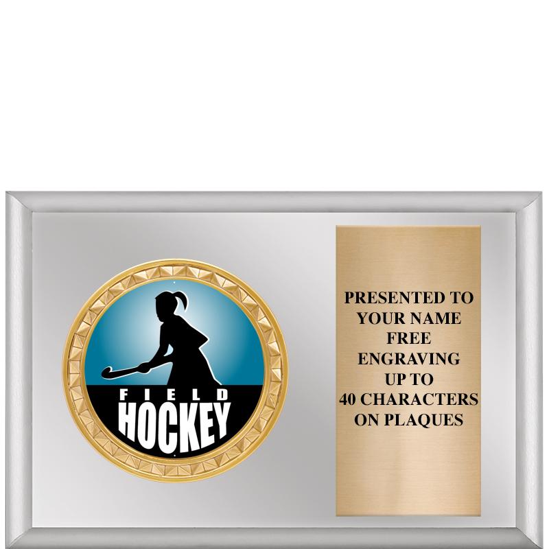 6" X 4" SILVER INSERT PLQ