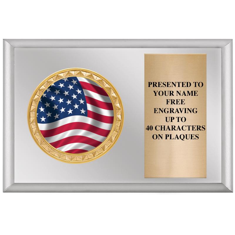 6" X 4" SILVER INSERT PLQ