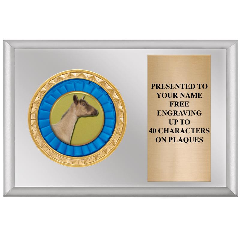 6" X 4" SILVER INSERT PLQ