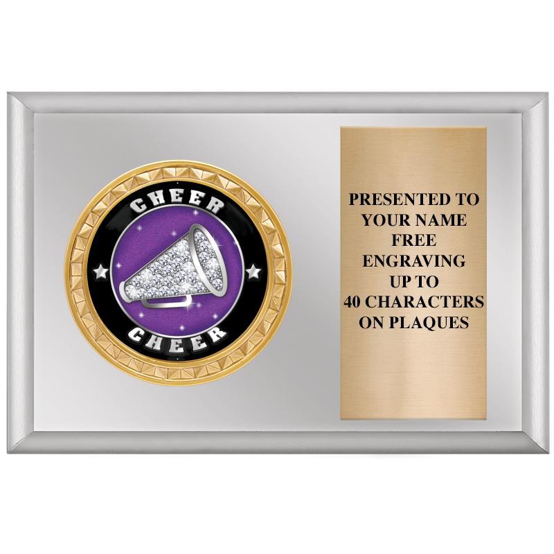 6" X 4" SILVER INSERT PLQ