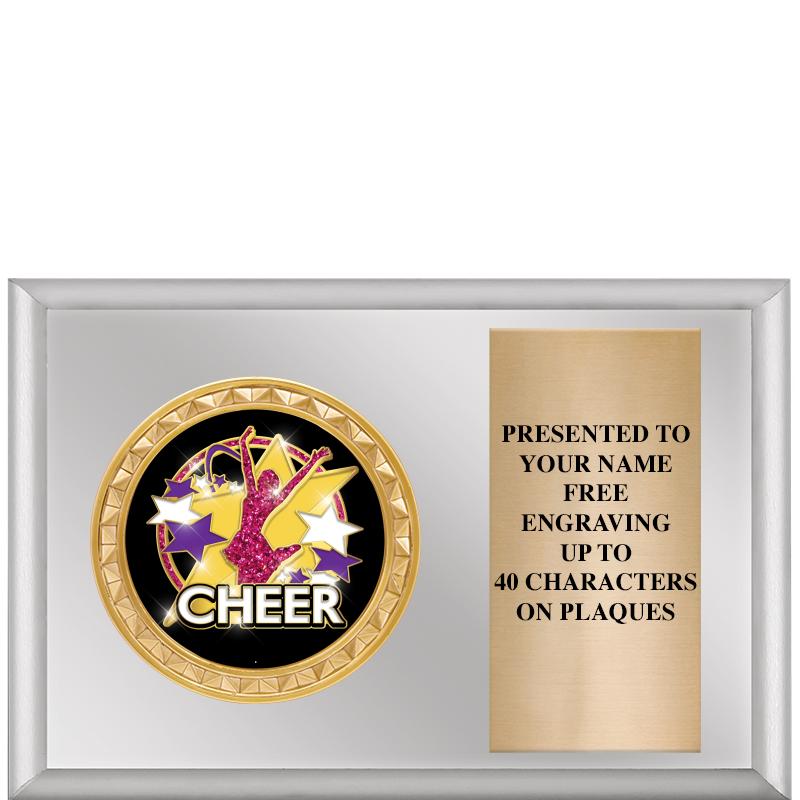 6" X 4" SILVER INSERT PLQ