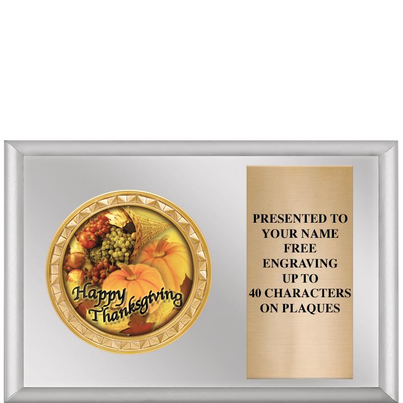 6" X 4" SILVER INSERT PLQ