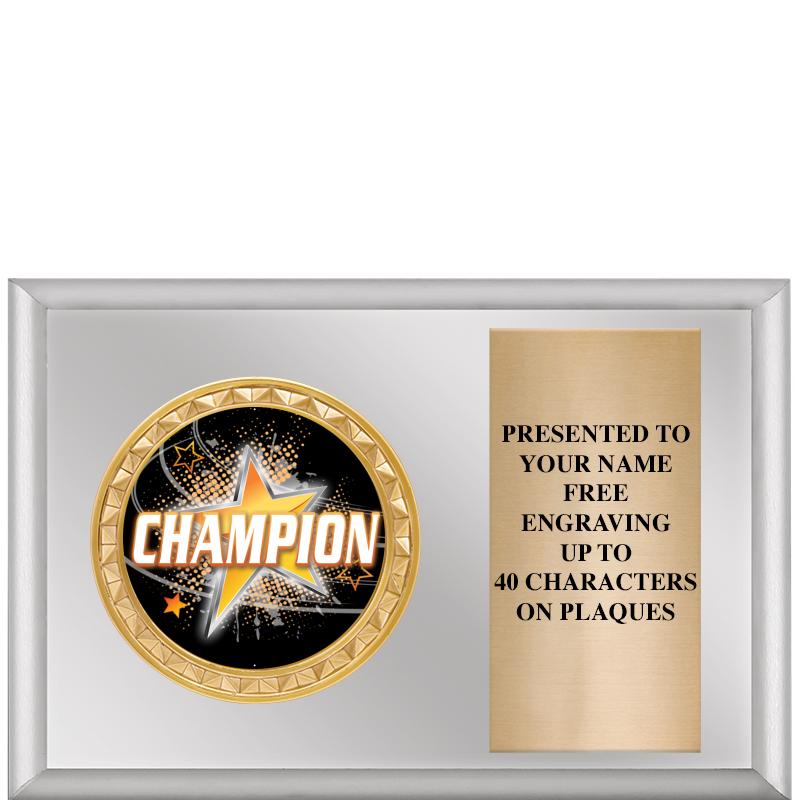 6" X 4" SILVER INSERT PLQ