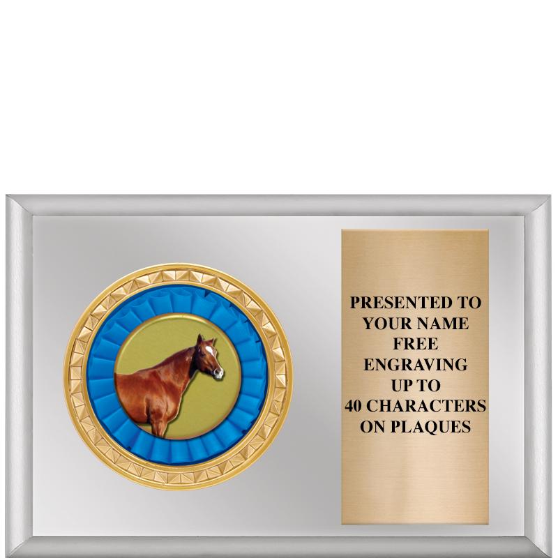 6" X 4" SILVER INSERT PLQ