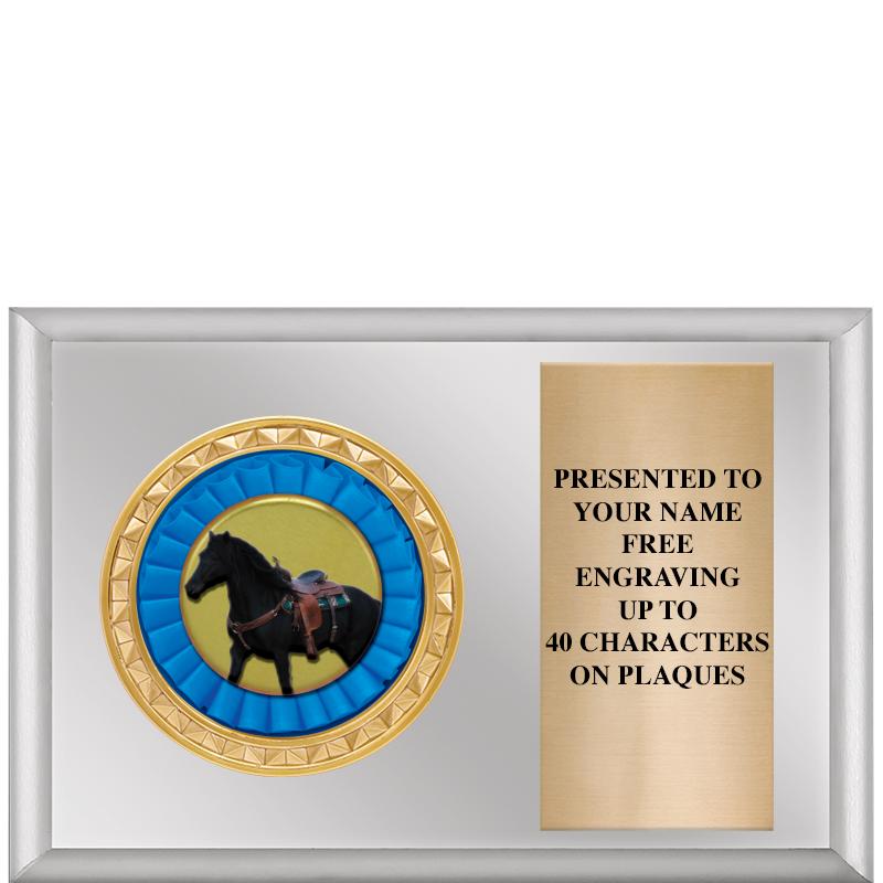 6" X 4" SILVER INSERT PLQ