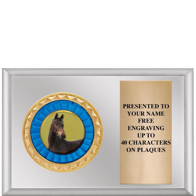 6" X 4" SILVER INSERT PLQ