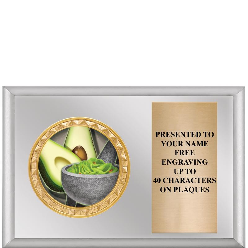 6" X 4" SILVER INSERT PLQ