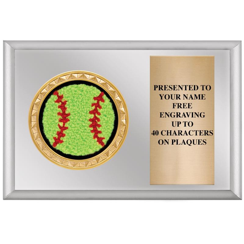 6" X 4" SILVER INSERT PLQ