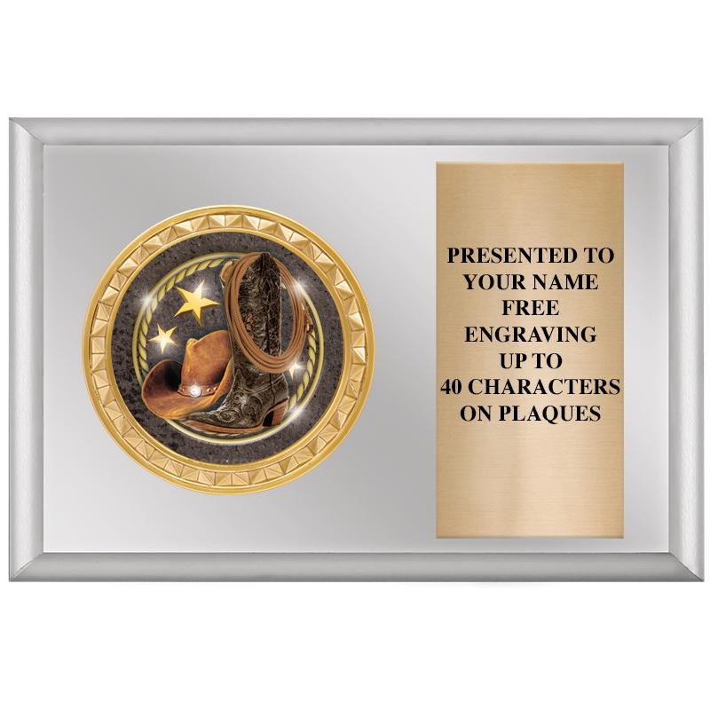 6" X 4" SILVER INSERT PLQ