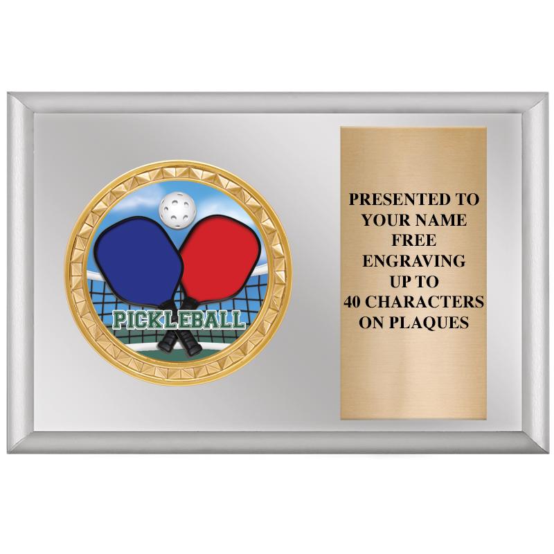 6" X 4" SILVER INSERT PLQ