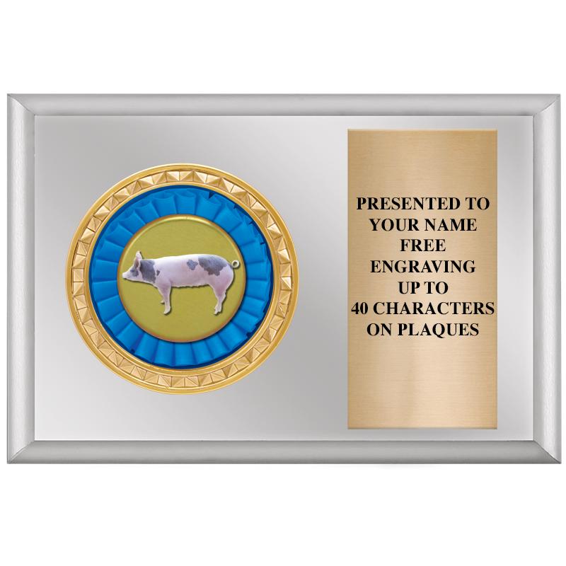 6" X 4" SILVER INSERT PLQ