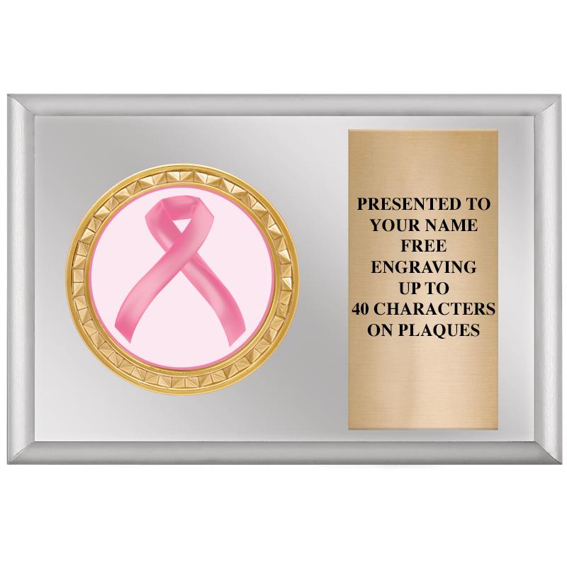 6" X 4" SILVER INSERT PLQ