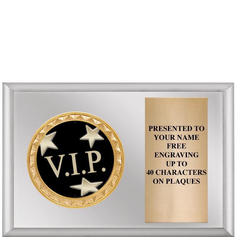 6" X 4" SILVER INSERT PLQ