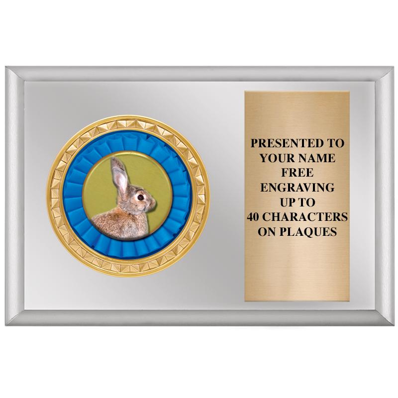 6" X 4" SILVER INSERT PLQ