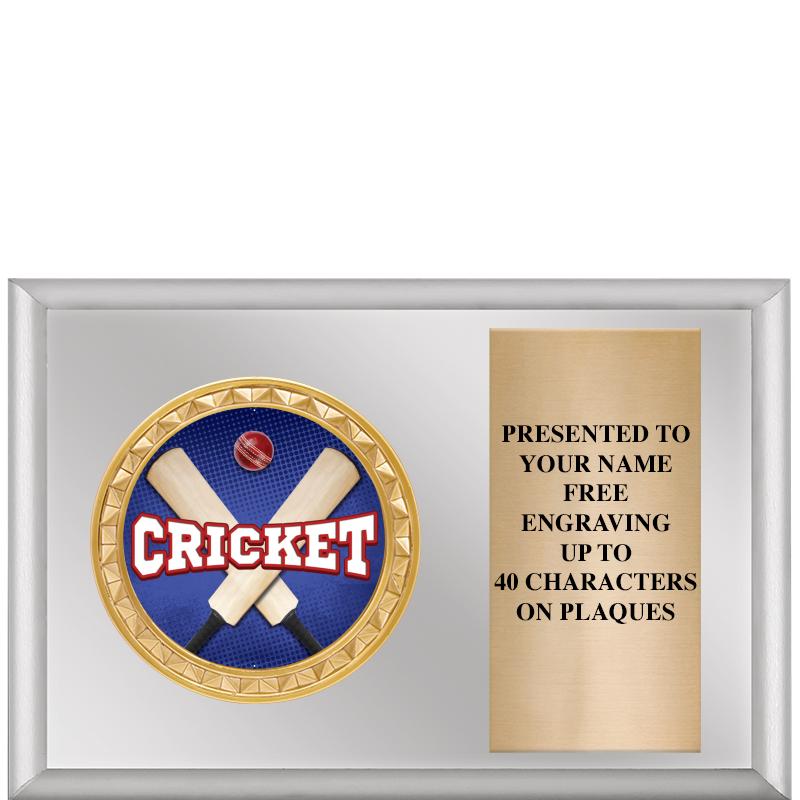 6" X 4" SILVER INSERT PLQ