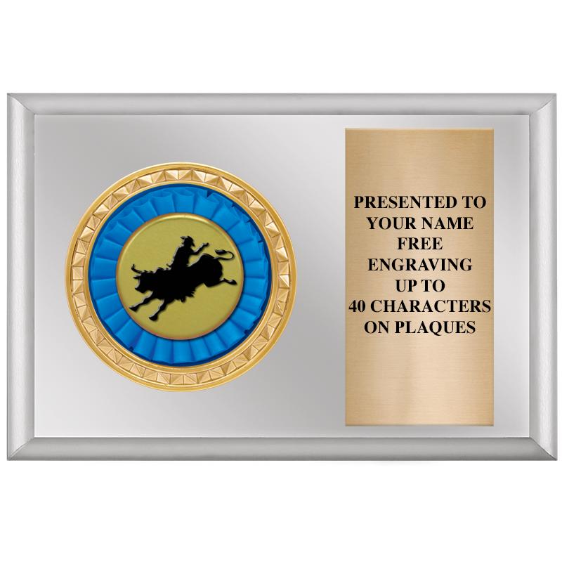 6" X 4" SILVER INSERT PLQ