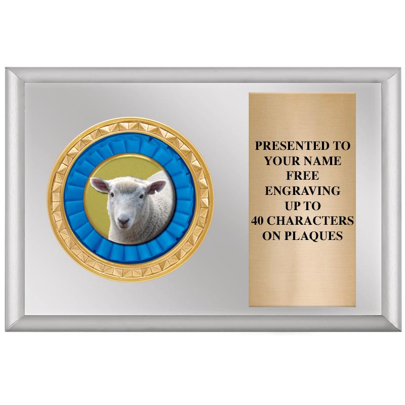 6" X 4" SILVER INSERT PLQ