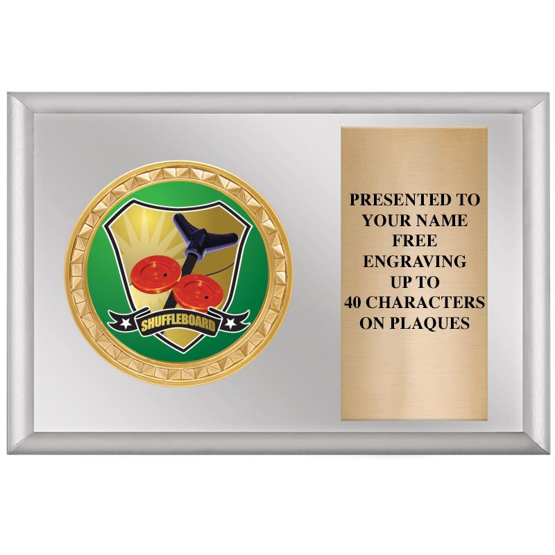 6" X 4" SILVER INSERT PLQ