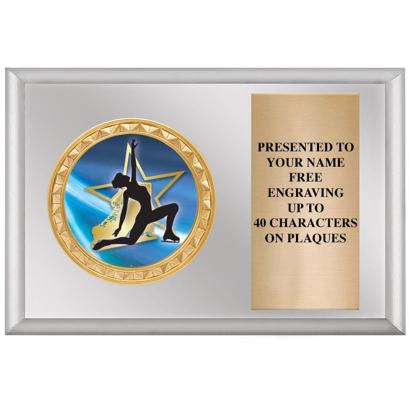 6" X 4" SILVER INSERT PLQ