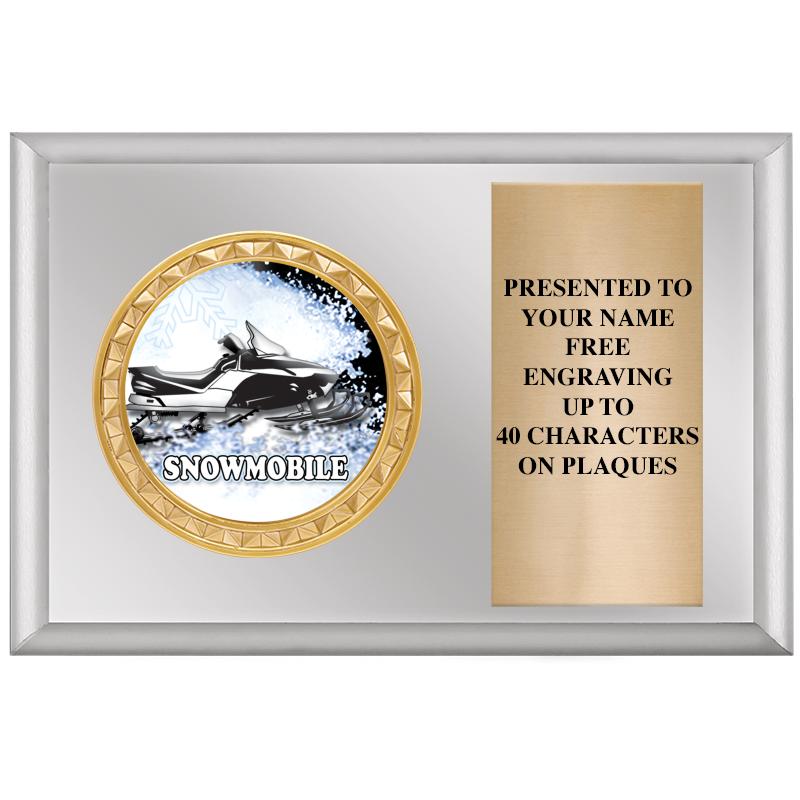 6" X 4" SILVER INSERT PLQ