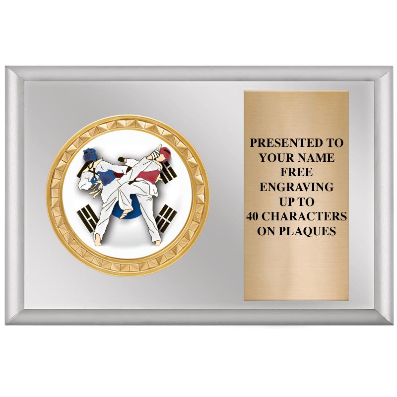 6" X 4" SILVER INSERT PLQ