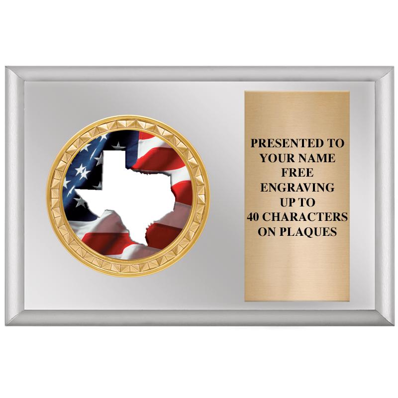 6" X 4" SILVER INSERT PLQ