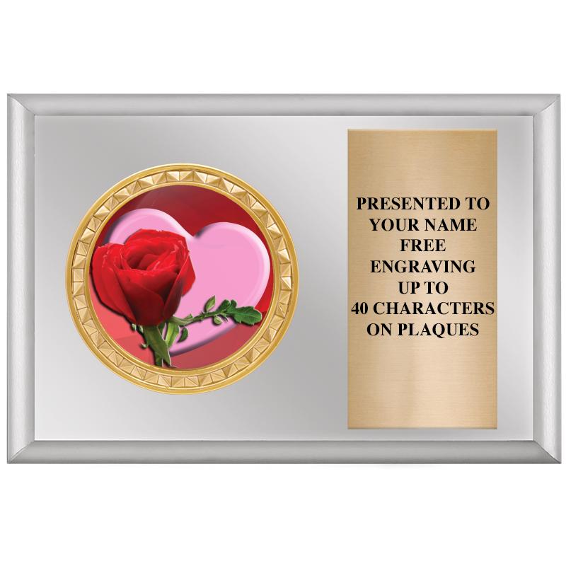 6" X 4" SILVER INSERT PLQ